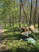 Foto: Illegale Müllentsorgung im Wald 