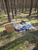 Foto: Hausmüll und Sperrmüll im Wald entsorgt  