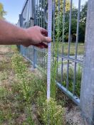 Foto: Friedhof Kaden 