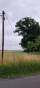 Foto: Telefonleitung 