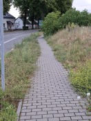 Foto: Rasen und Unkraut auf Gehweg  