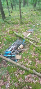 Foto: Müll im Wald 