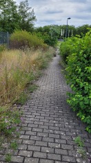 Foto: Fußweg zugewachsen 