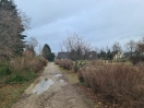 Foto: Schulweg zerfahren  