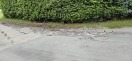 Foto: Defekte Straße 