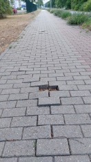 Foto: Bitte Stein nachsetzen 