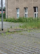 Foto: Grüner Parkplatz 
