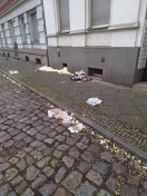 Foto: Ganze Werderstraße und Hausmannstraße Müll verteilt 