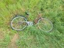 Foto: Fahrrad im Straßengraben  