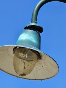 Foto: Lampenkopf LM164 lose in Schlepzig Grüne Wiese 