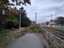 Foto: Abgebrochener Baum versperrt Fuß-und Radweg 