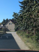 Foto: Löwendorf | Waldstraße | Apfelbaum umgekippt  