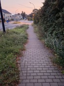 Foto: Gehweg wuchert schon wieder zu.  