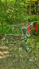 Foto: Einkaufswagen von Netto 