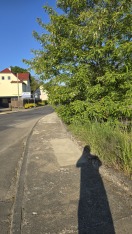 Foto: Gehweg zugewachsen 