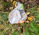 Foto: Wiederholt wurden müllbeutel entsorgt  