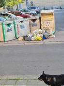 Foto: Gelber Container  