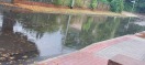 Foto: Hochwasser-Überschwemmung 