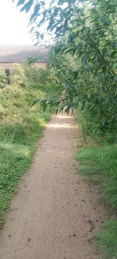 Foto: Kirchsteig Gießmannsdorf  