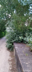 Foto: Einängung der Straße  