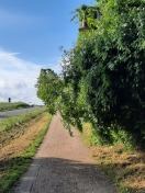 Foto: Radweg 
