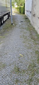 Foto: Verdreckter Gehweg 