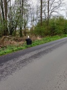 Foto: Wilde Deponie-Reifen 