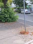 Foto: Keine Einsicht auf Fahrradfaher 