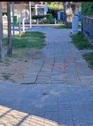Foto: Weg katastrophal zurückgelassen  
