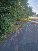Foto: Müll  