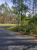 Foto: Schlechte Sicht an Kreuzung  