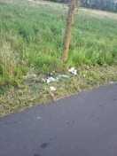 Foto: Müll am Radweg 