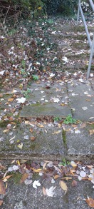 Foto: Stolperstell an Treppe 