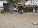 Foto: Große Eiche 