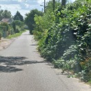 Foto: Straßenverengung durch Bepflanzung  