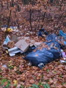 Foto: Müll im Waldbereich (Stadteil Waldsiedlung) 