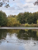 Foto: Stadionteich  