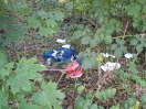Foto: Abfall im Gebüsch  
