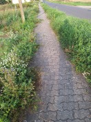 Foto: Zugewachsener Gehweg  