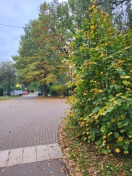 Foto: Einsehen der Kreuzung 