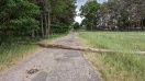 Foto: Fontaneweg F5 - umgestürzter Baum 