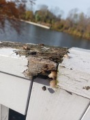 Foto: Bauchschmerzenbrücke  