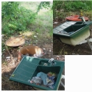 Foto: Mülltonne, illegale Müllstelle 