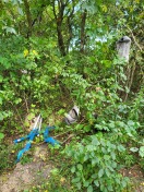 Foto: Wilde Deponie 