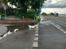 Foto: Regen bringt Gullys zum überlaufen 
