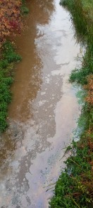 Foto: Freienwalder Landgraben  