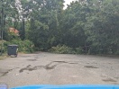 Foto: Sturmschaden, Straße blockiert 