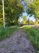 Foto: Gehweg zugewachsen Neukammer BRB-Str. 