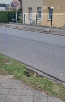 Foto: Loch am Straßenrand 