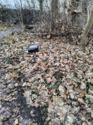 Foto: Müllentsorgung  